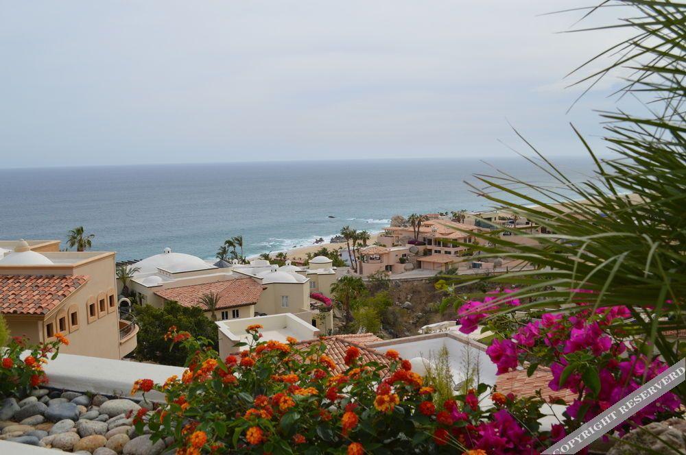 Villa Las Flores Cabo San Lucas Esterno foto